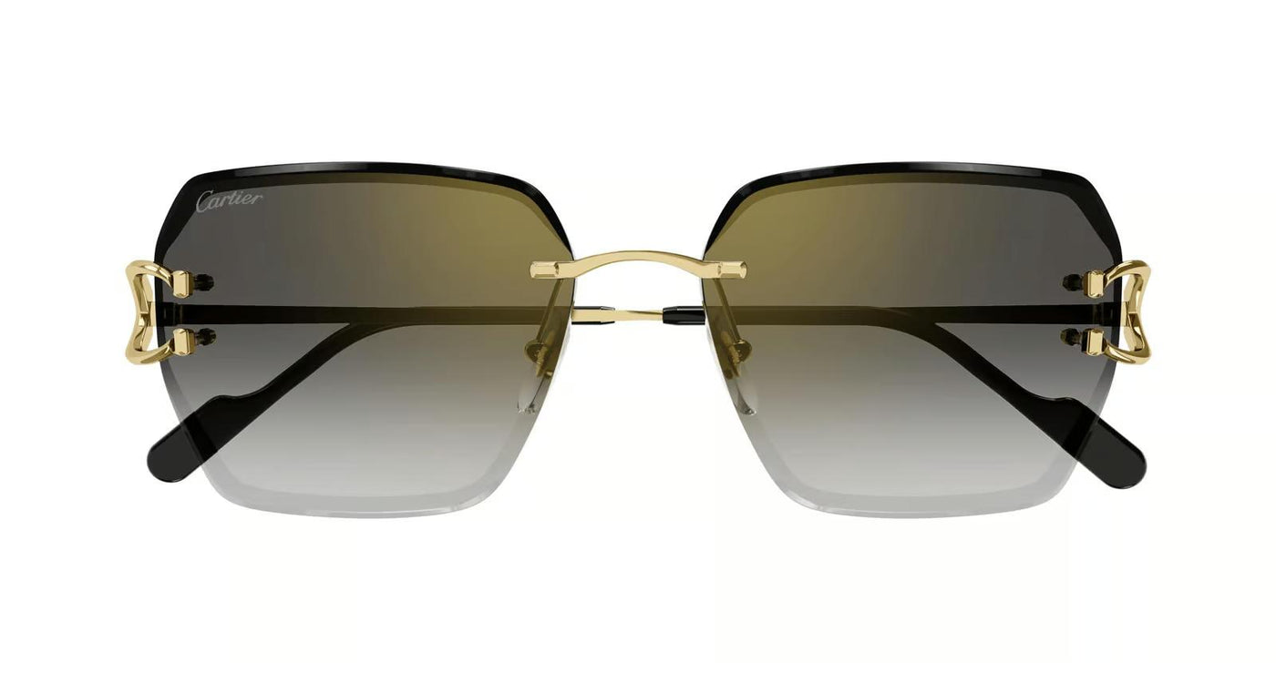 Cartier CT0466S-Sunglasses-Topline Eyewear