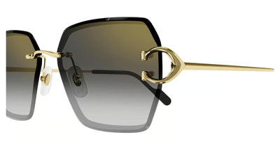 Cartier CT0466S-Sunglasses-Topline Eyewear