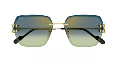 Cartier CT0466S-Sunglasses-Topline Eyewear