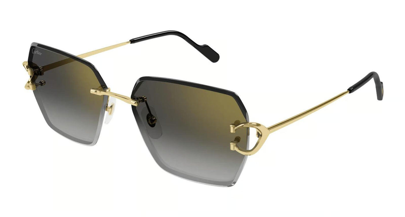 Cartier CT0466S-Sunglasses-Topline Eyewear