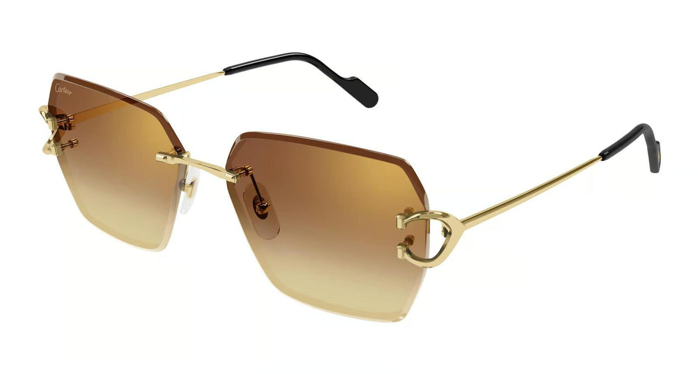 Cartier CT0466S-Sunglasses-Topline Eyewear