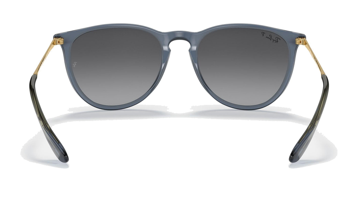 Erika BR - RB4171 New-Sunglasses-Topline Eyewear